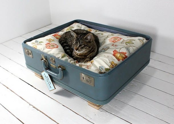 heel Garderobe Vergelden Kattenmand koffer - Woontrendz