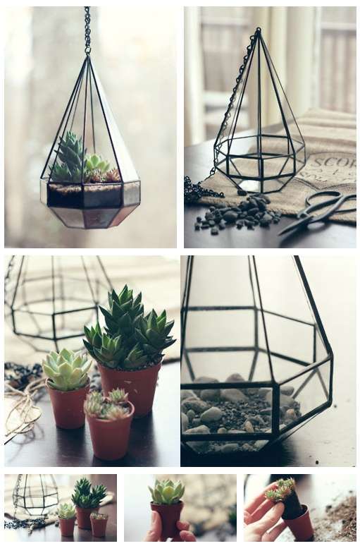 tiran Bouwen op Slang DIY geometrische terrarium - Woontrendz