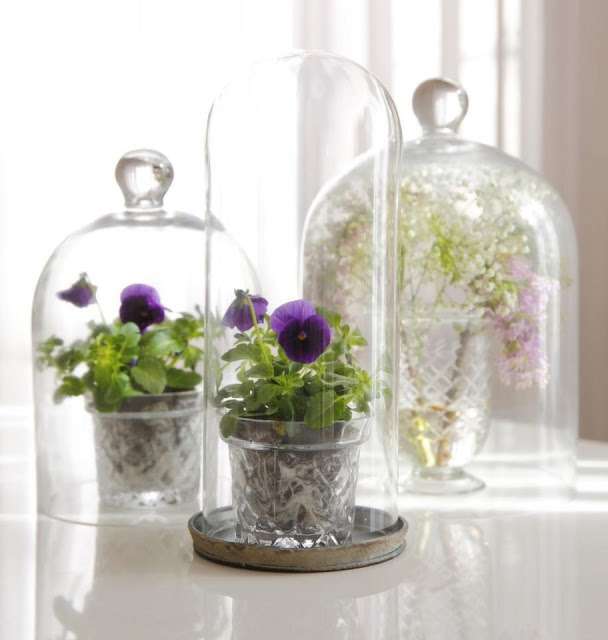 Glazen stolp inspiratie en voorbeelden Glazen stolp kopen?