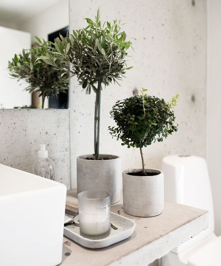 Groene planten in de badkamer. Trend 2016