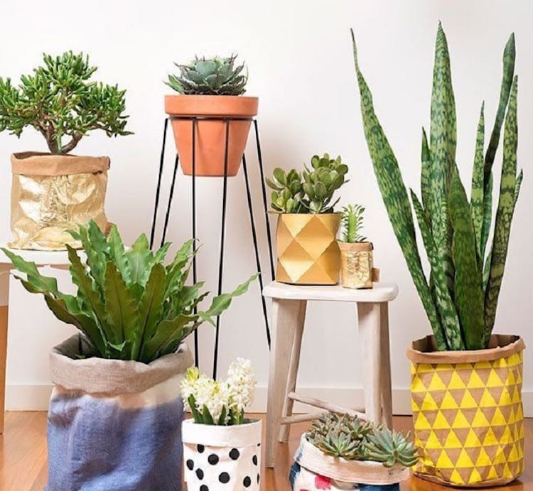 Planten op een standaard