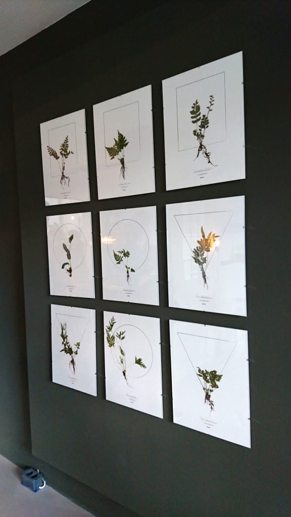 vtwonen beurs botanische prints