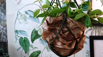 Woontrendz Botanisch interieur