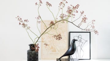 Woontrendz - Hood & Wood kaart Groningen bij Hiske