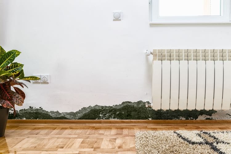 Schimmel op de muur in de woonkamer
