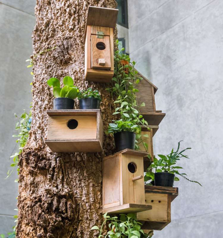 Vogelhuisjes aan een boom