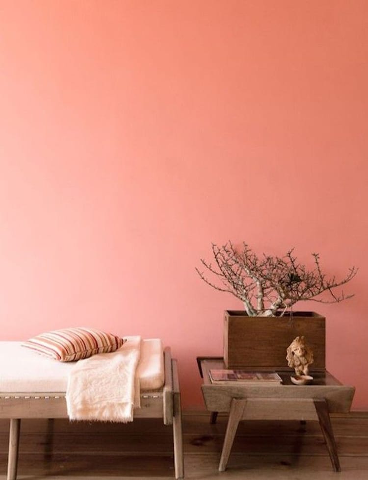 Living Coral - Pantone kleur van 2019