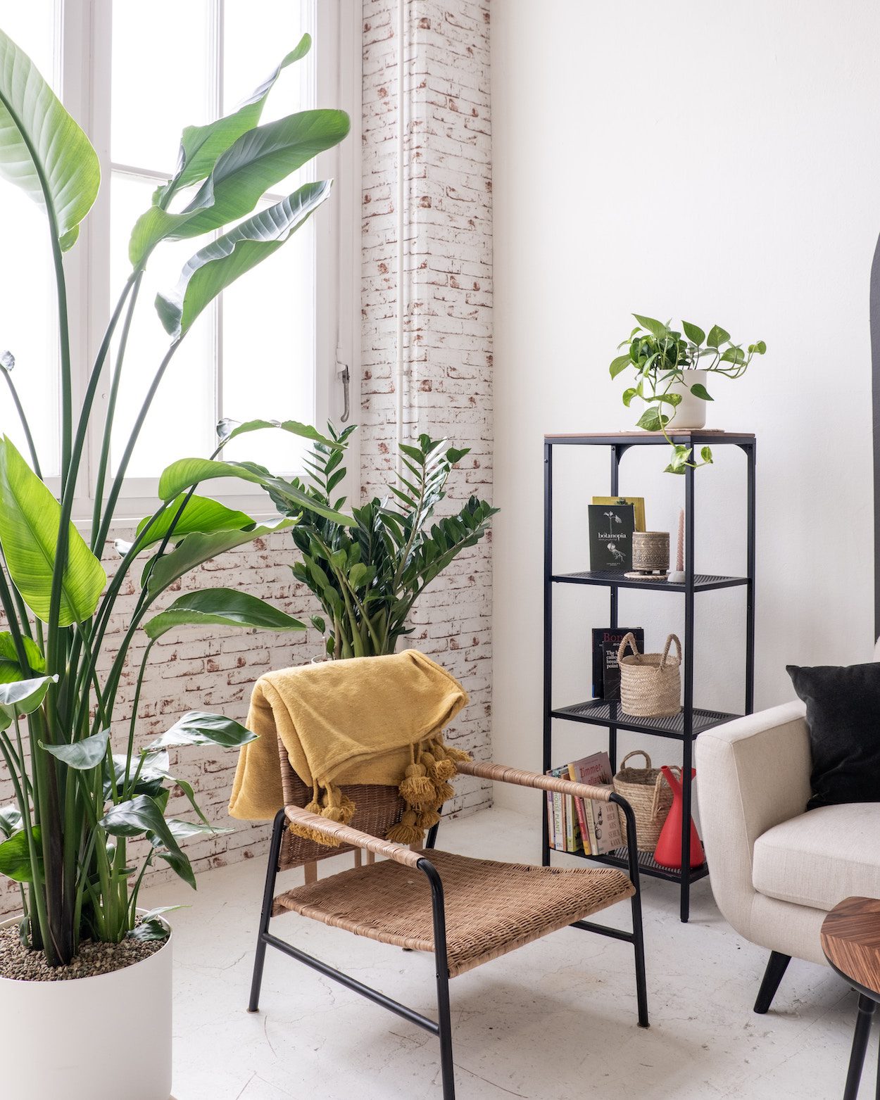 Dit moet je weten over planten in je interieur - Woontrendz