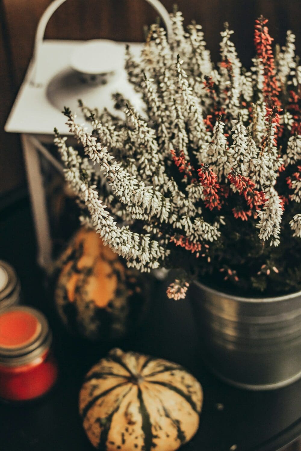 Herfstdecoratie heide